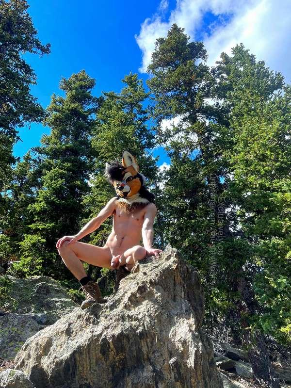 Let's make all the other animals jealous 😏 💦 Featuring @rogu..