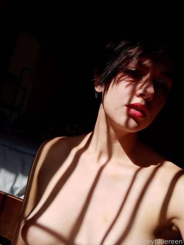 greybluegreen image #1