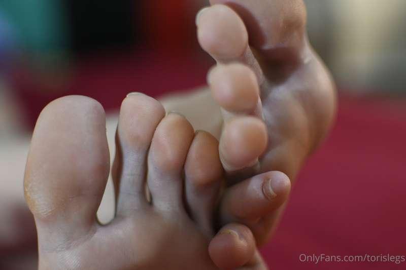 torislegs image #10