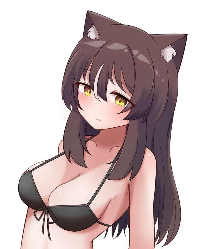 Leopard1 (swimwear)