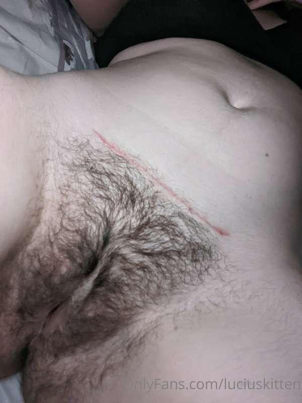 luciuskitten image #0