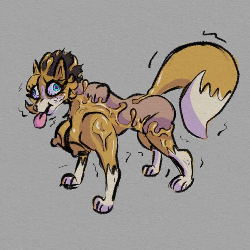 Feral fox sphinx possession