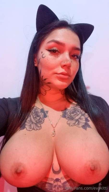 evilkitti image #0