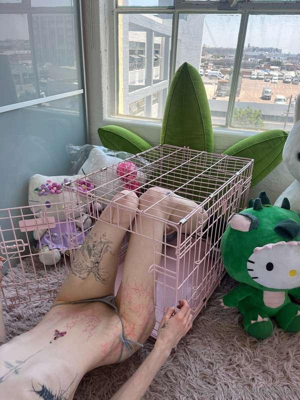 Meow :3 🐾 I want a wishlist so u guys can buy me cute lil th..