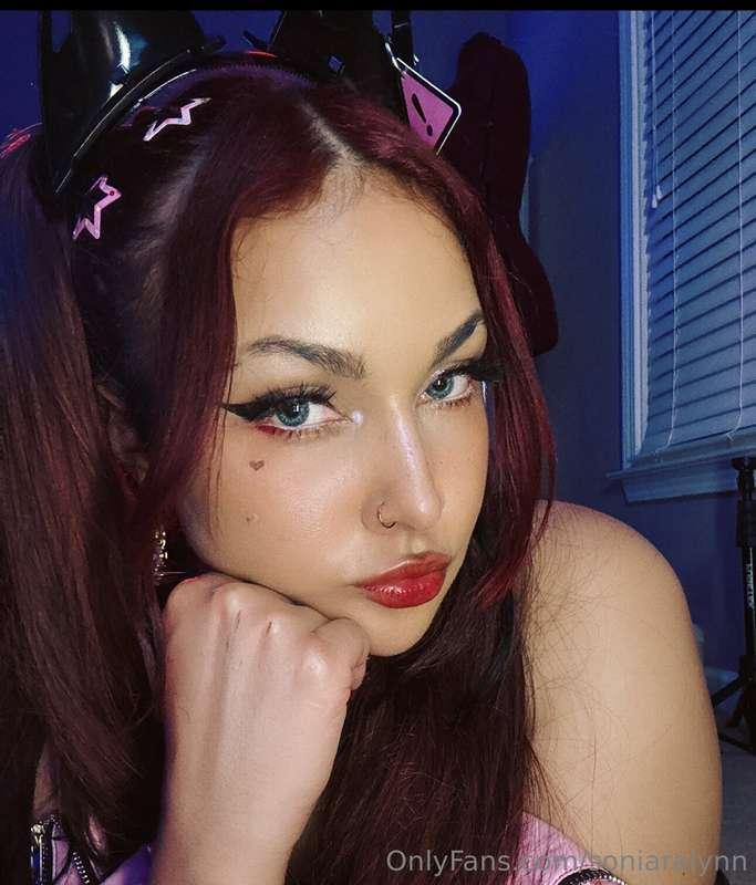 meow vibes 
