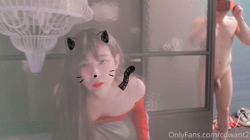 cdwant2 image #3