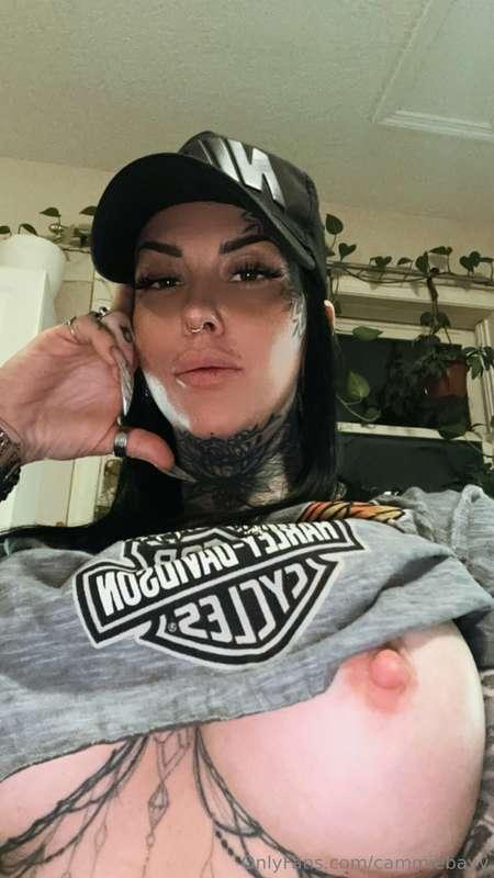Harley Davidson… am I rite ?