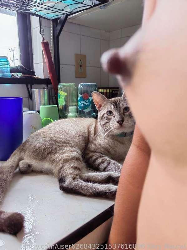 user626843251537616896 image #1