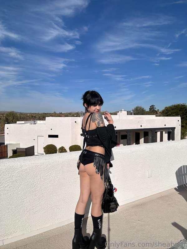 sheabriar image #3