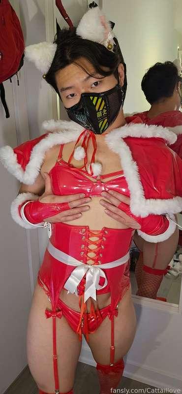 cattaillove image #9