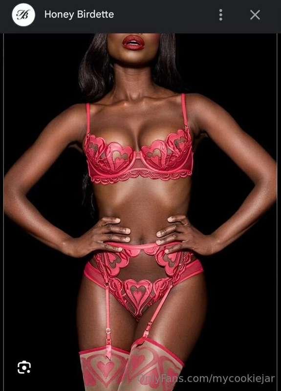 Honey Birdette Christmas 🎄 If anyone wants to help donate fo..
