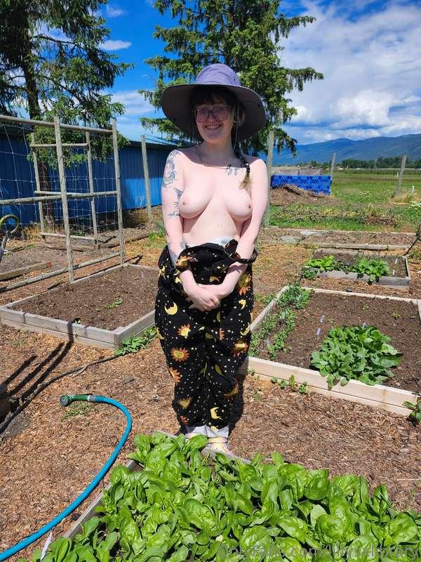 I spent a fair bit of time trimming and staking my tomato pl..