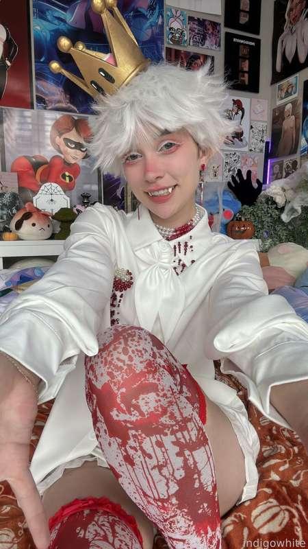 indigowhite image #271