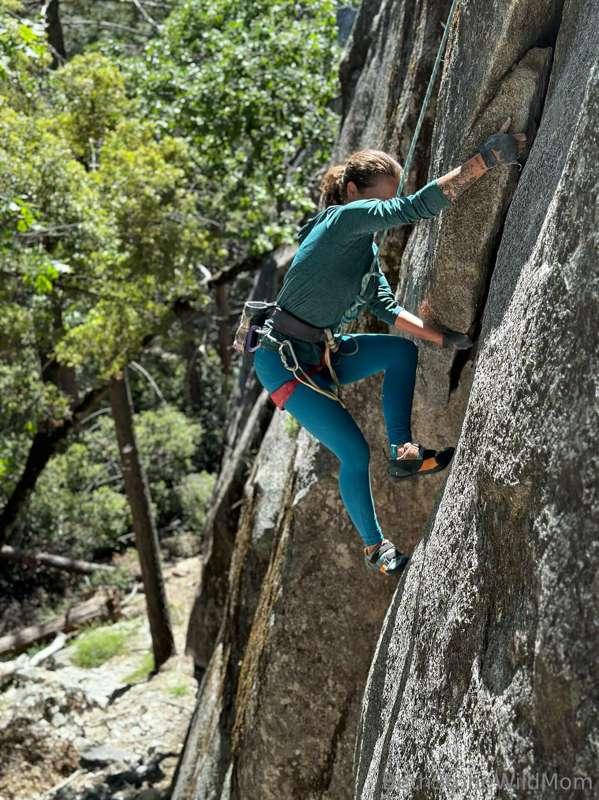 bethwildmom image #1