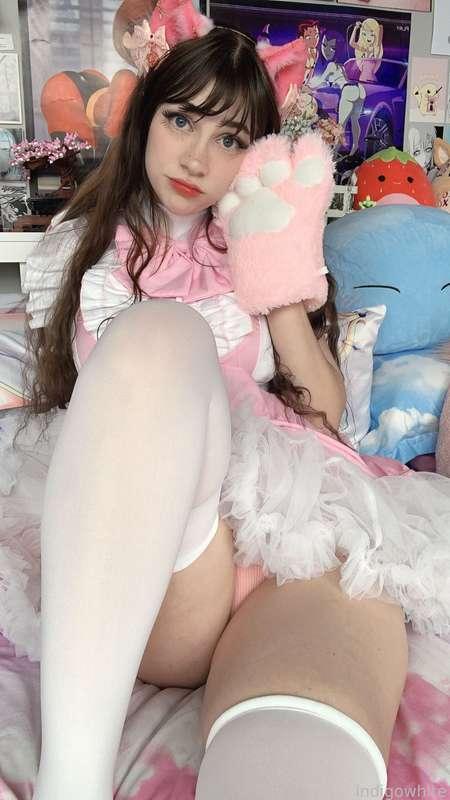 indigowhite image #47