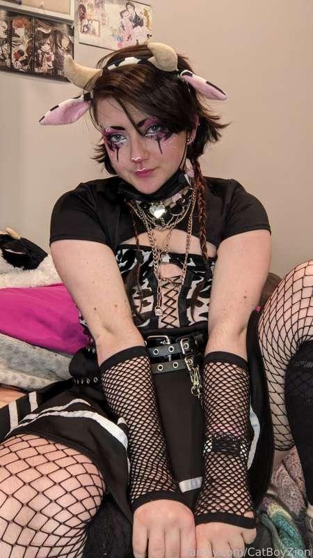 catboyzion image #11