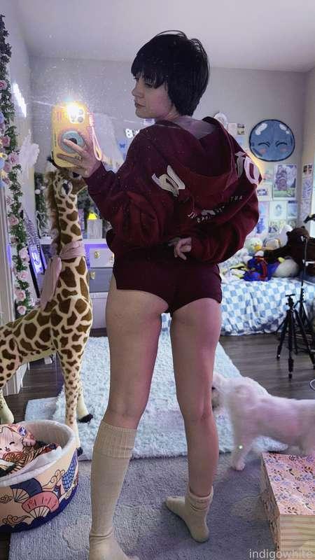 indigowhite image #2