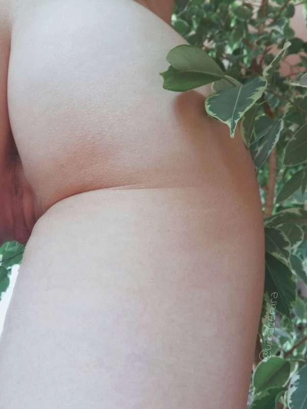 Do you like my ficus?💚
