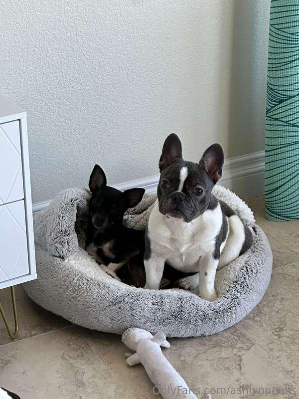 My babies 💕