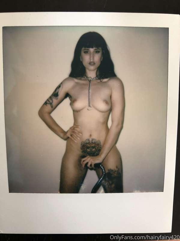 hairyfairy420 image #0