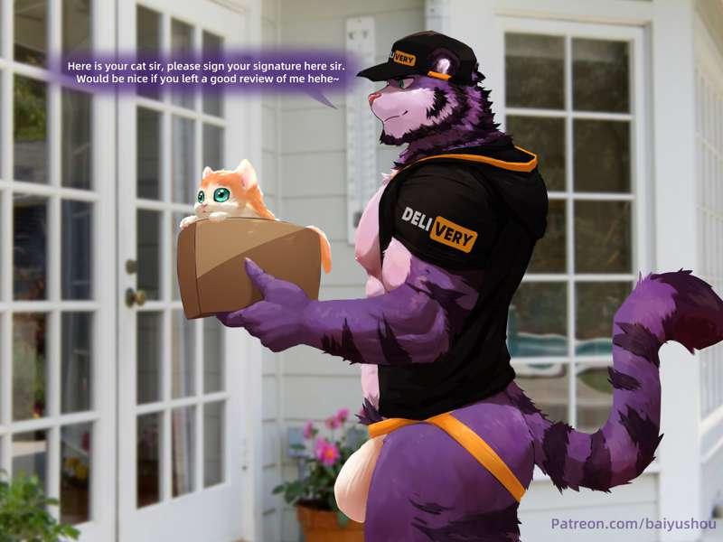 [Pack] DeliveryBoy(11P）