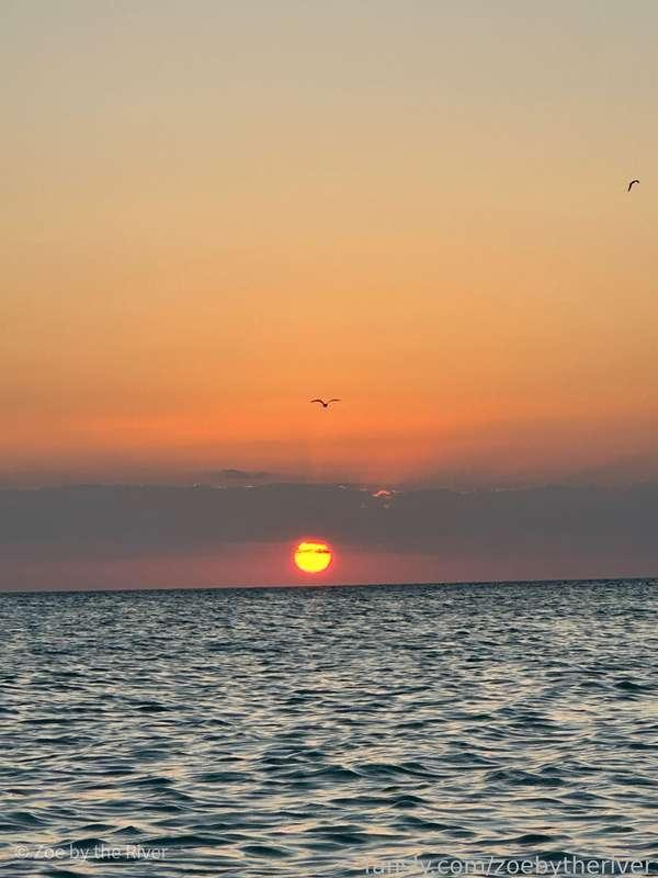 zoebytheriver image #37