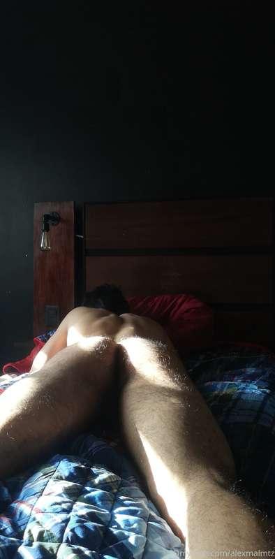 alexmalmtz image #1
