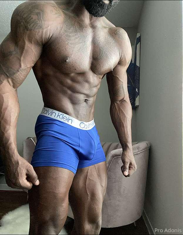 Hot New Briefs😜