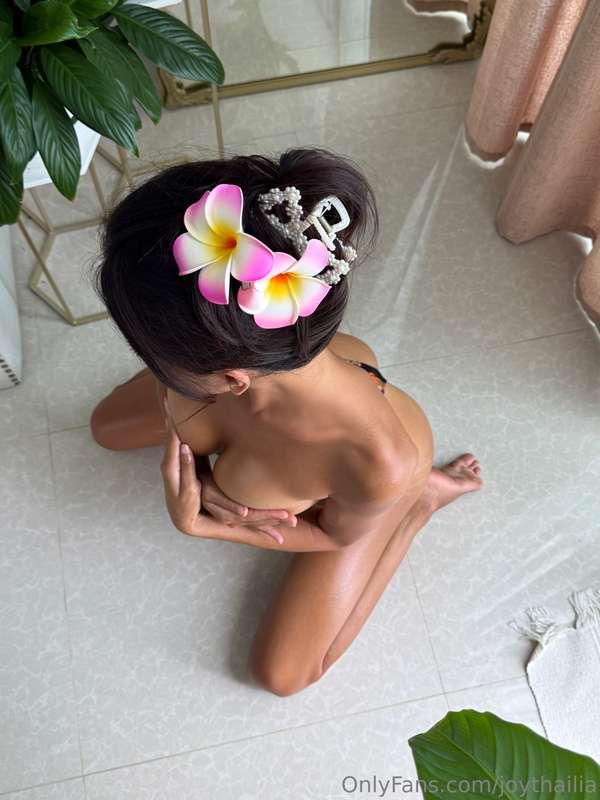 🌸🌸🌸