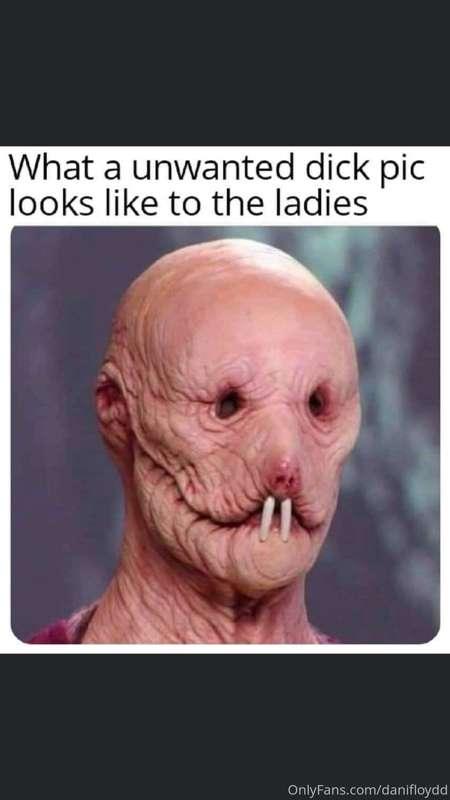 😂😂 for reaaaaal though, stop sending me your dicks without p..