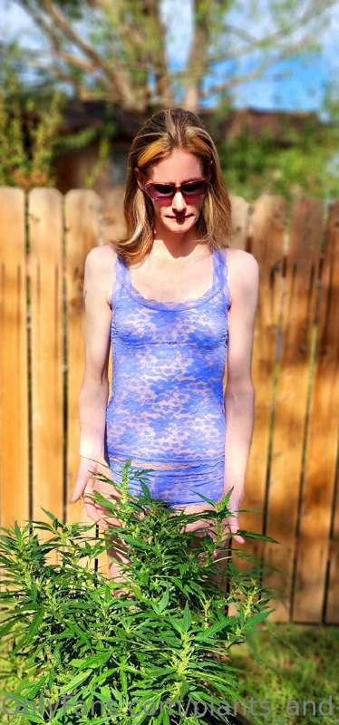 plants_and_piercings image #1