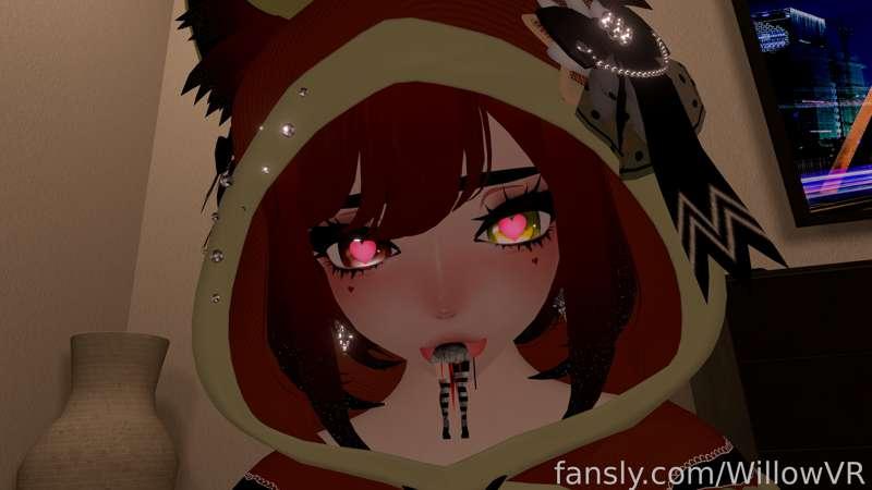 willowvr image #4