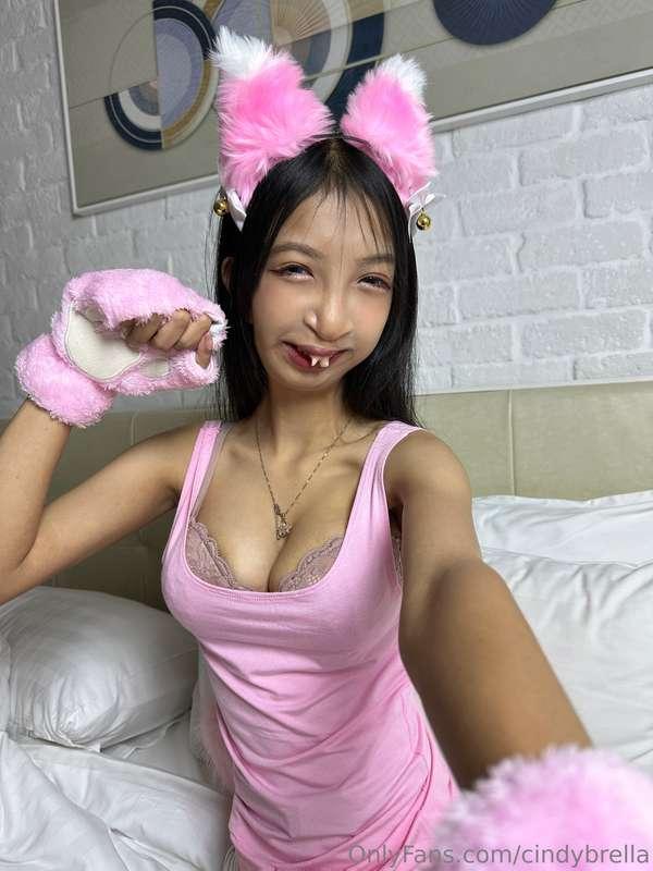 tell me where to scratch 😽