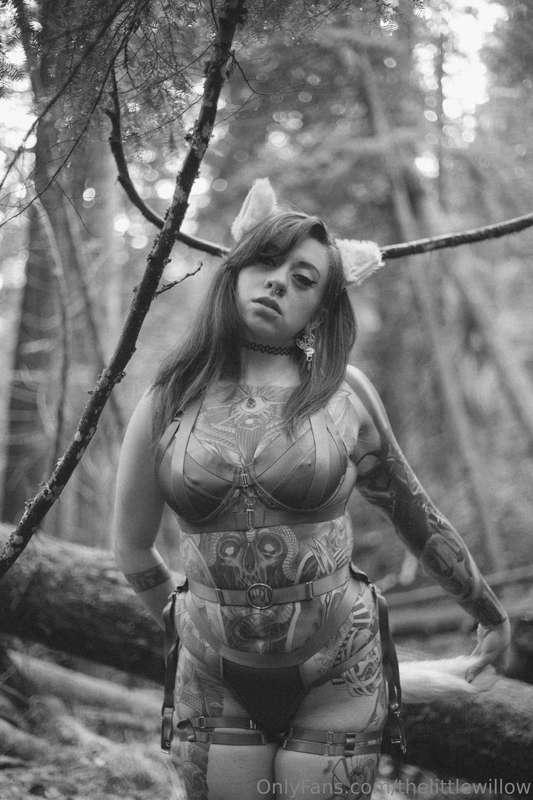 thelittlewillow image #0