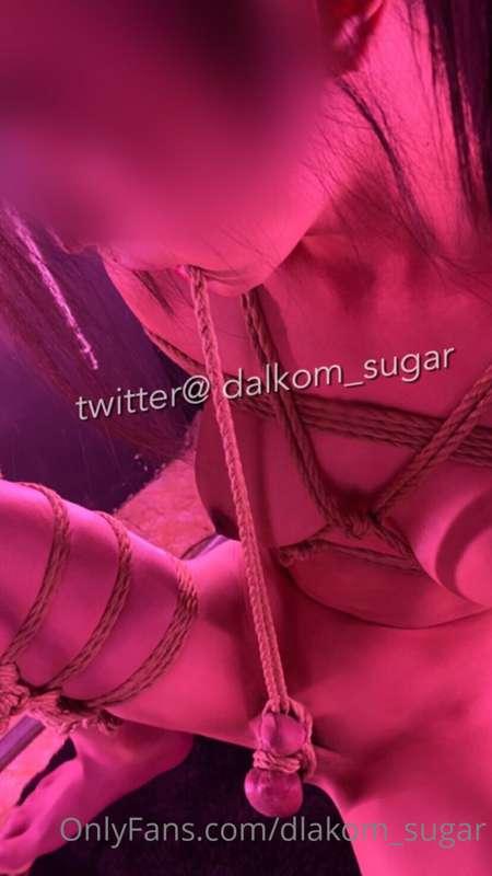 dalkom_sugar main image