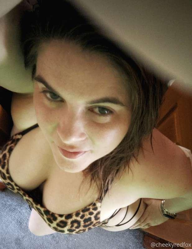 cheekyredfox image #0
