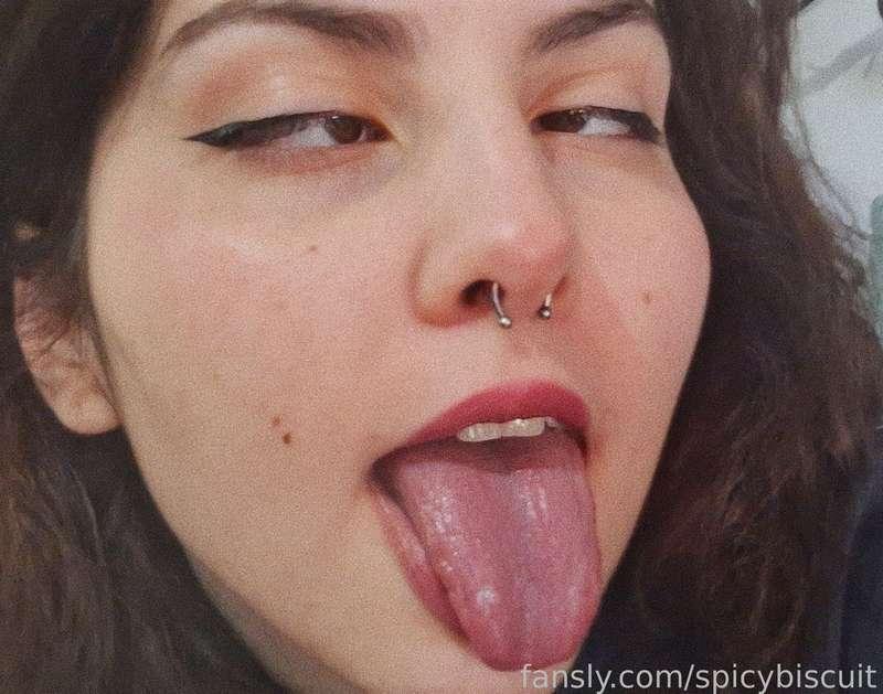 spicybiscuit image #1