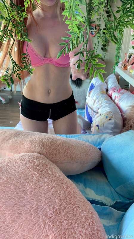 indigowhite image #31