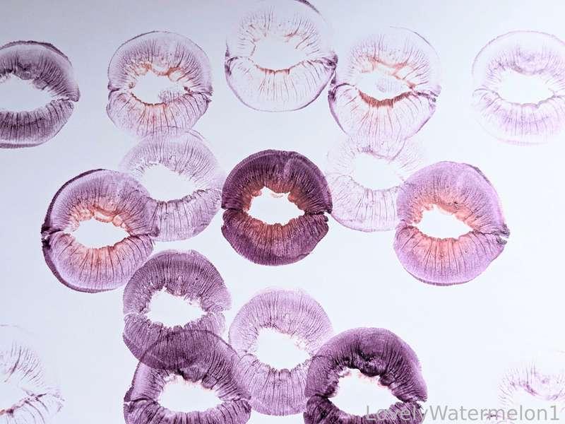 lovelywatermelon1 image #13