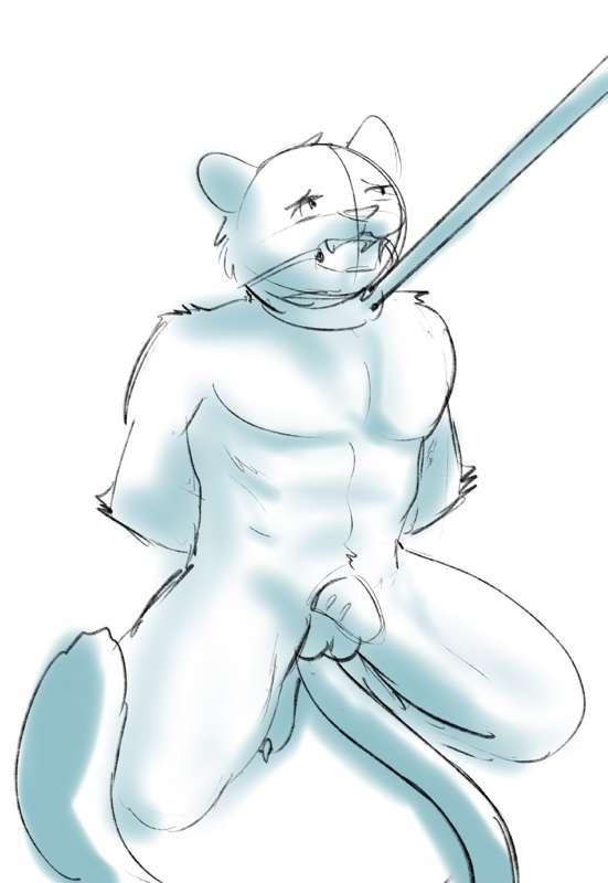 [REWARD] Sketches