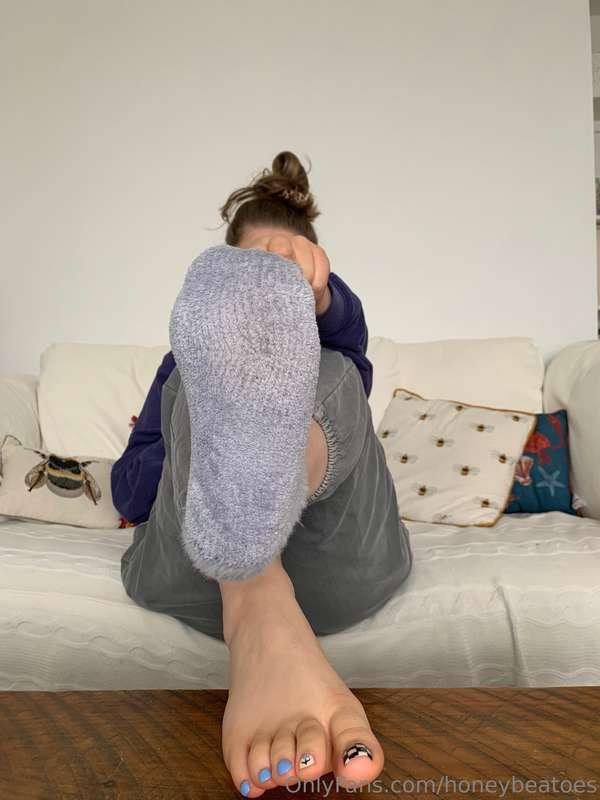 honeybeatoes image #9