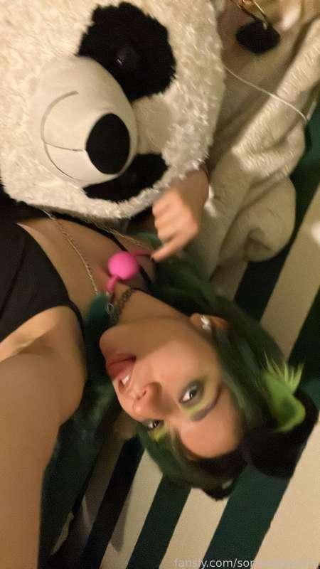 sorrowzsquirtz image #14