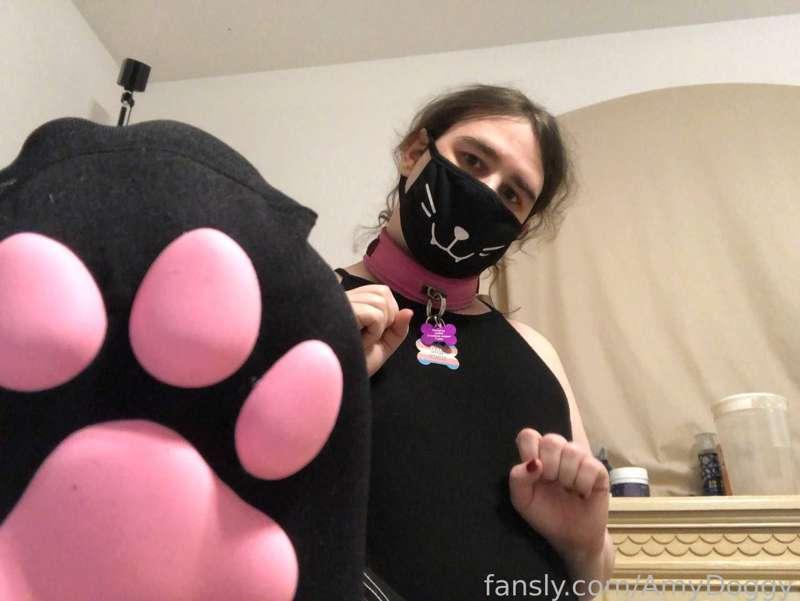 amydoggyvr image #0