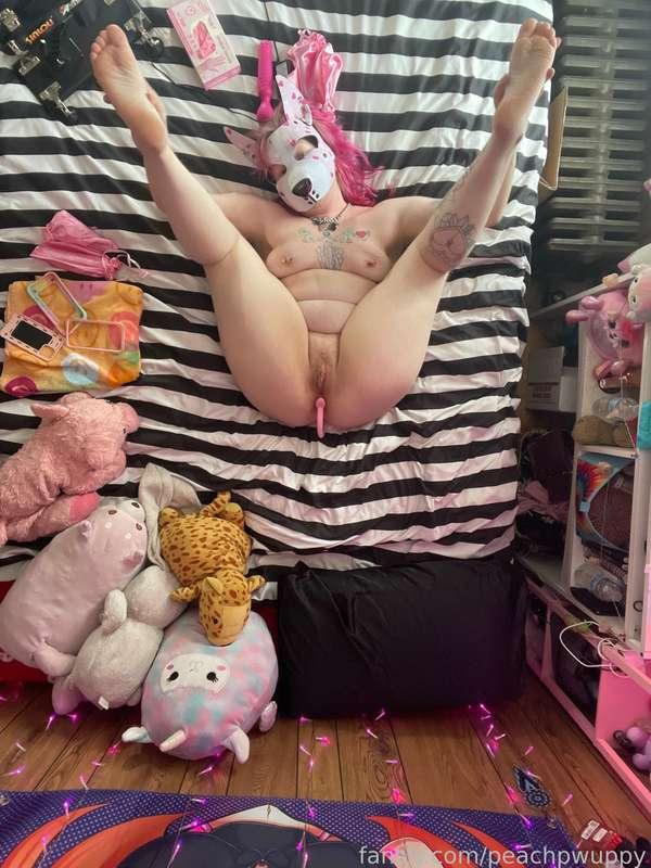 peachpwuppy image #11