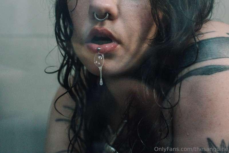 thesanguine image #8