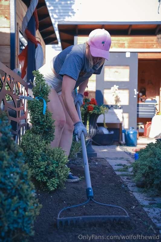 wolfofthewild image #0