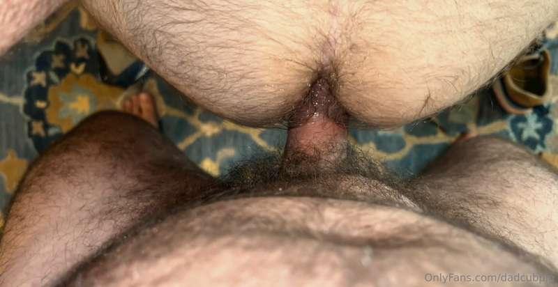 dadcubpig image #1