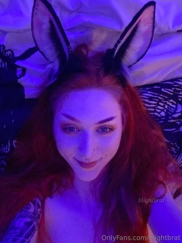 ***You found a bunny girl on your bed!*** 😱
*Would you…*
A) ..