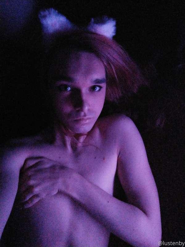 Helloo ;3 I'm a kitty! Come lick me please