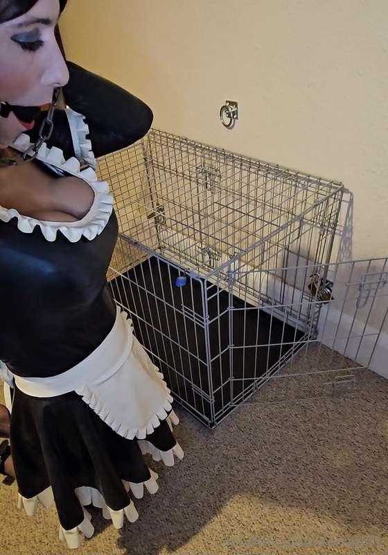 Preparing myself for some time in the cage 😊